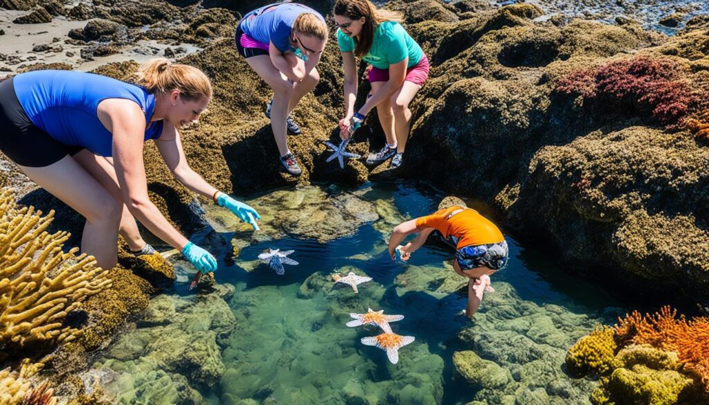 tide pool exploration tips tide pool exploration tips