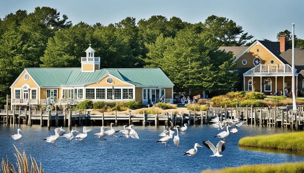wildfowl heritage museum Virginia Beach wildfowl heritage museum Virginia Beach