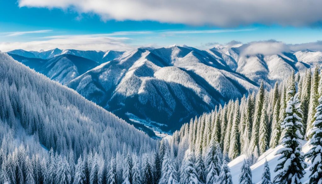 Best ski resorts in Brasov Best ski resorts in Brasov
