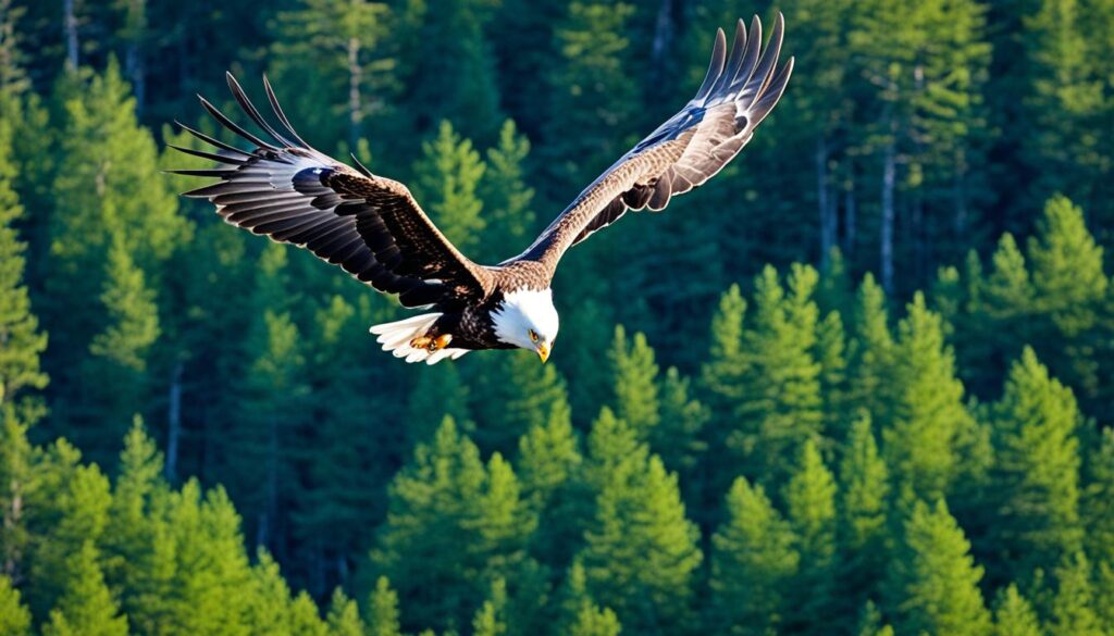 Haapsalu wildlife spotting Haapsalu wildlife spotting