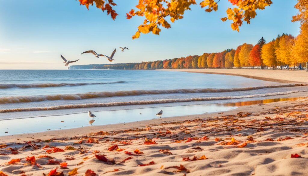 Jurmala in Autumn Jurmala in Autumn