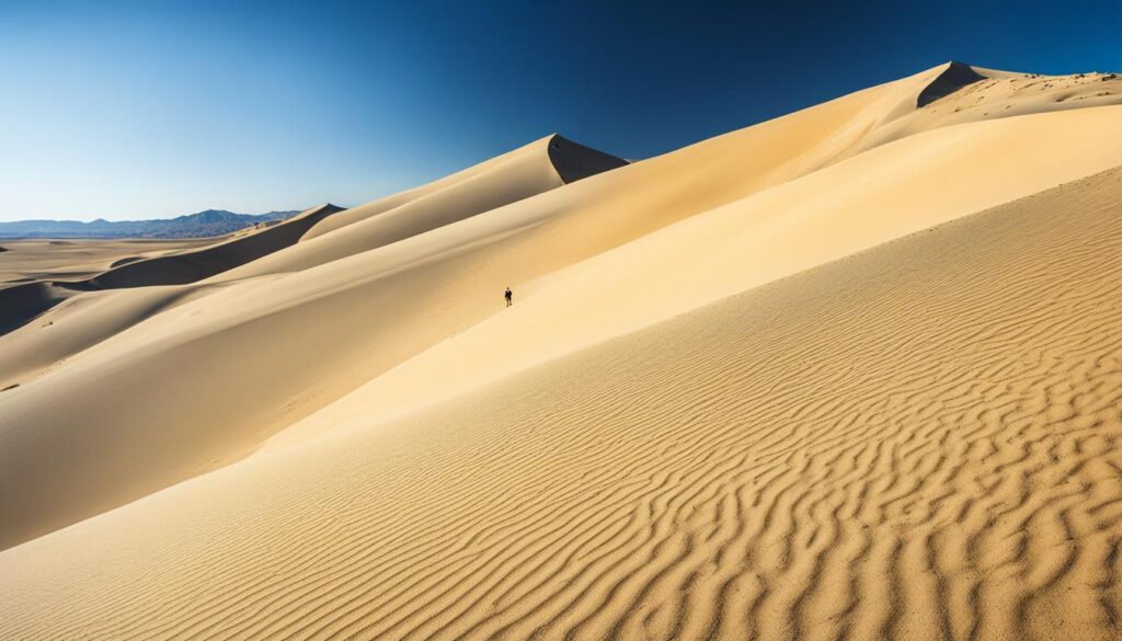 Parnidis Dune Parnidis Dune