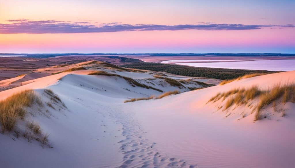 Parnidis Dune Parnidis Dune