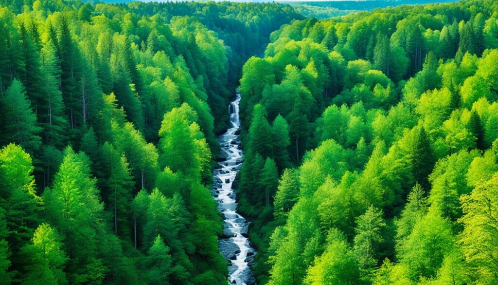 Sigulda attractions Sigulda attractions