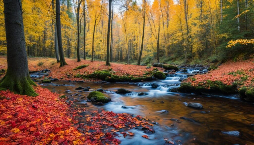 Sigulda autumn weather for leaf peeping Sigulda autumn weather for leaf peeping