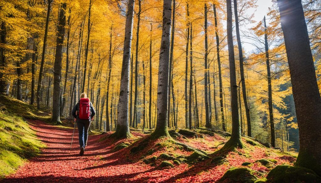 Sigulda hiking adventure seasons Sigulda hiking adventure seasons