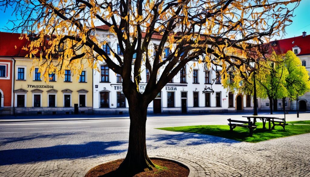 Trnava Literary Legacy Trnava Literary Legacy