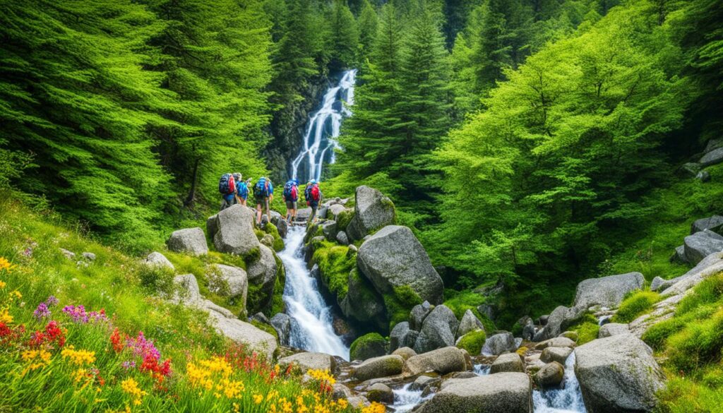 Vitosha Mountain Activities Vitosha Mountain Activities