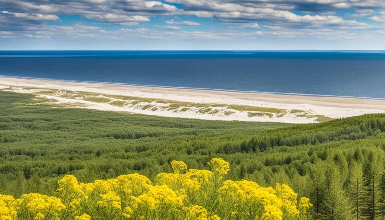 What are the must-see attractions in Nida for a nature lover?