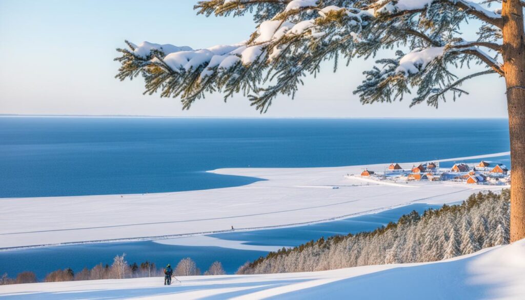 Winter Attractions in Nida Winter Attractions in Nida