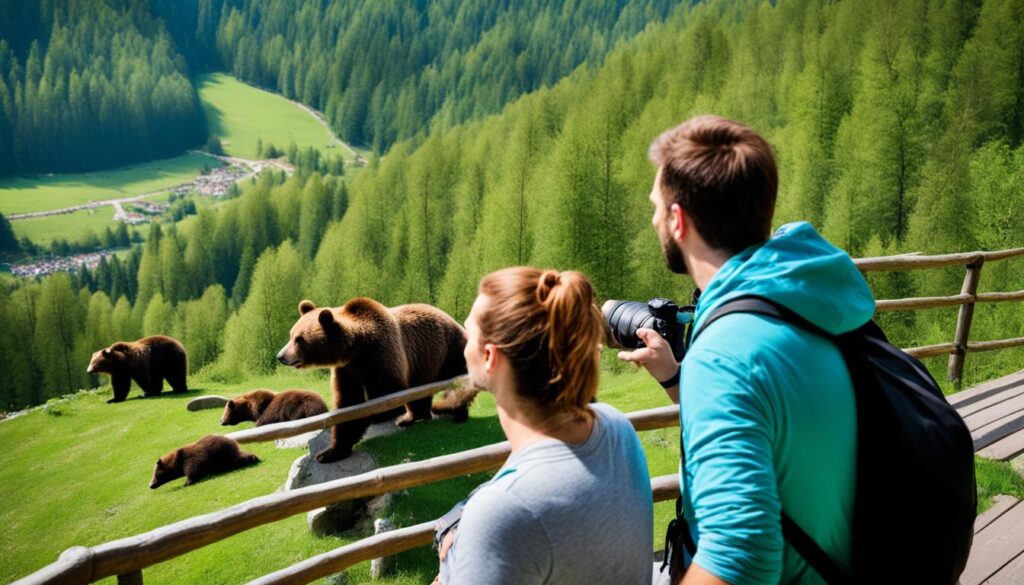 best bear sanctuary tours best bear sanctuary tours
