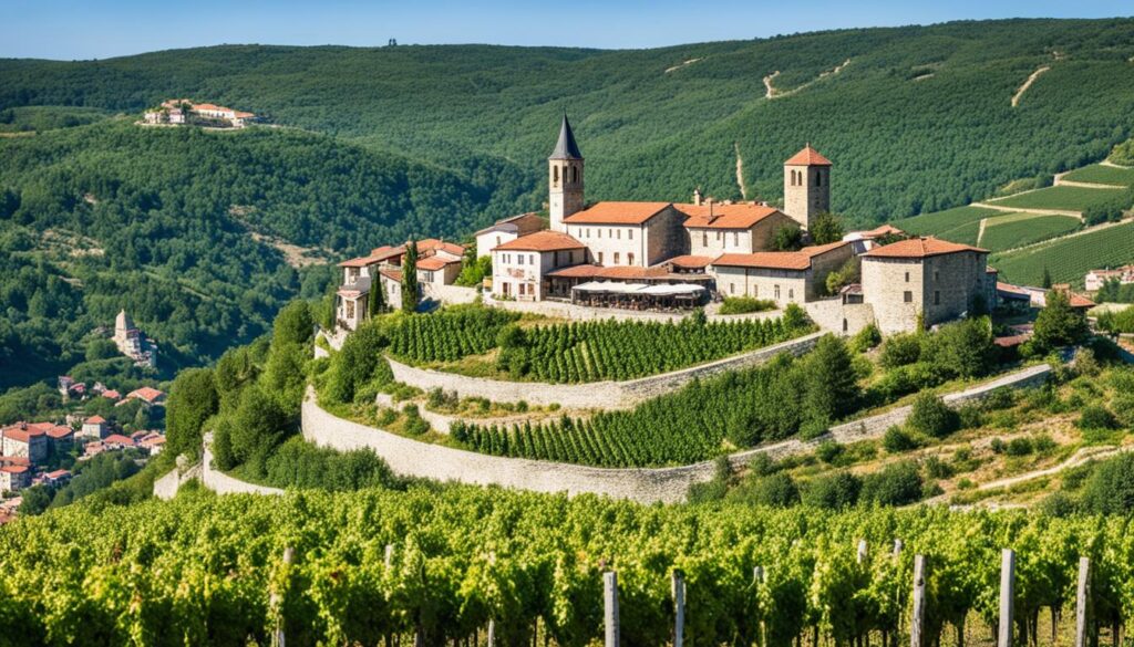 best wineries in Veliko Tarnovo best wineries in Veliko Tarnovo