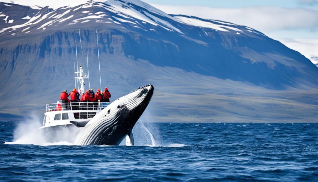 Akureyri Whale Watching Akureyri Whale Watching