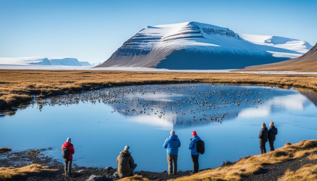 Arctic Birdwatching Arctic Birdwatching