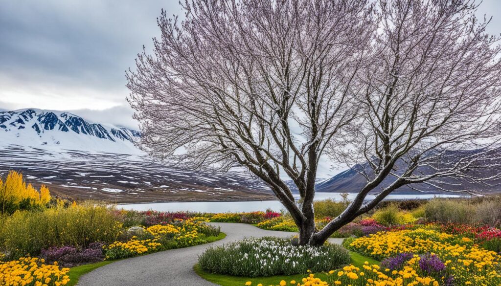 Arctic Botanical Gardens Akureyri Arctic Botanical Gardens Akureyri
