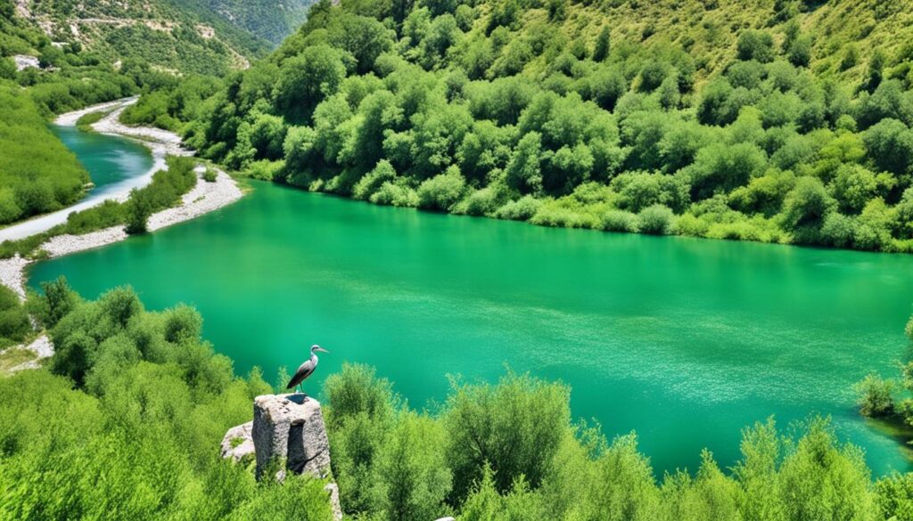 Birdwatching Tours in Berat Birdwatching Tours in Berat