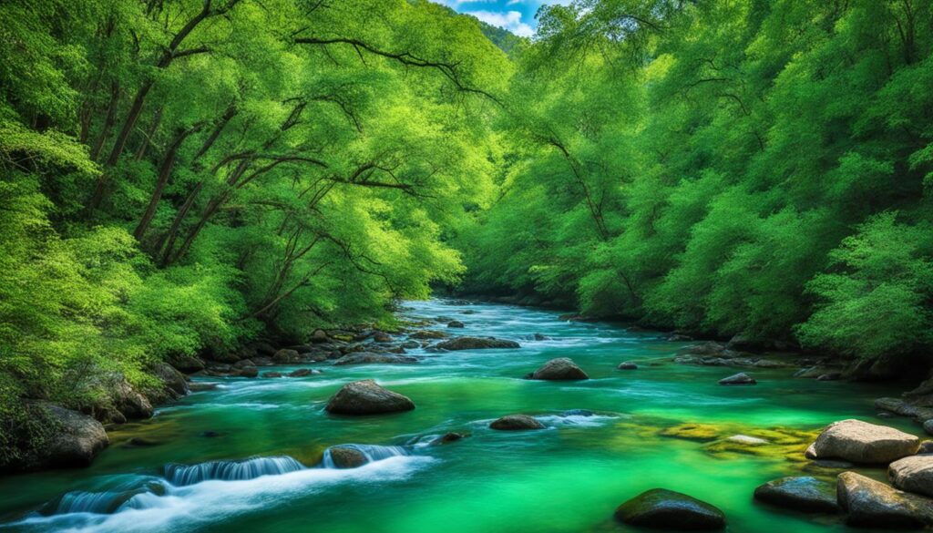Buna River spring visit Buna River spring visit