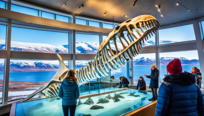 Can you visit the Husavik Whale Museum?