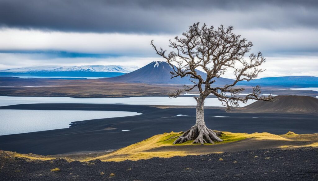 Cultural and Historical Significance Cultural and Historical Significance