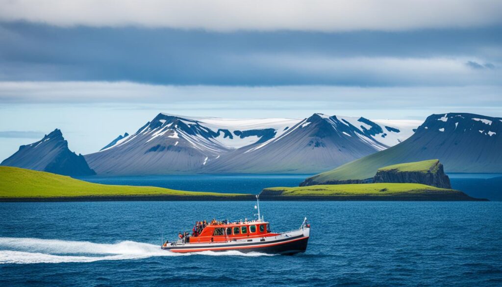 Guided boat tours to Vigur Island Guided boat tours to Vigur Island