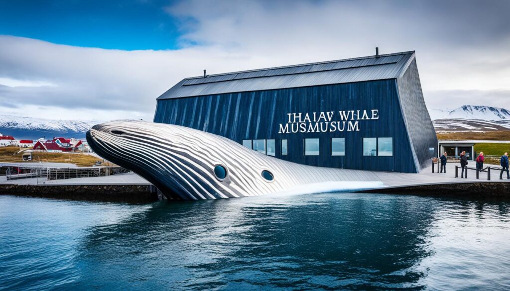 Husavik Whale Museum Husavik Whale Museum