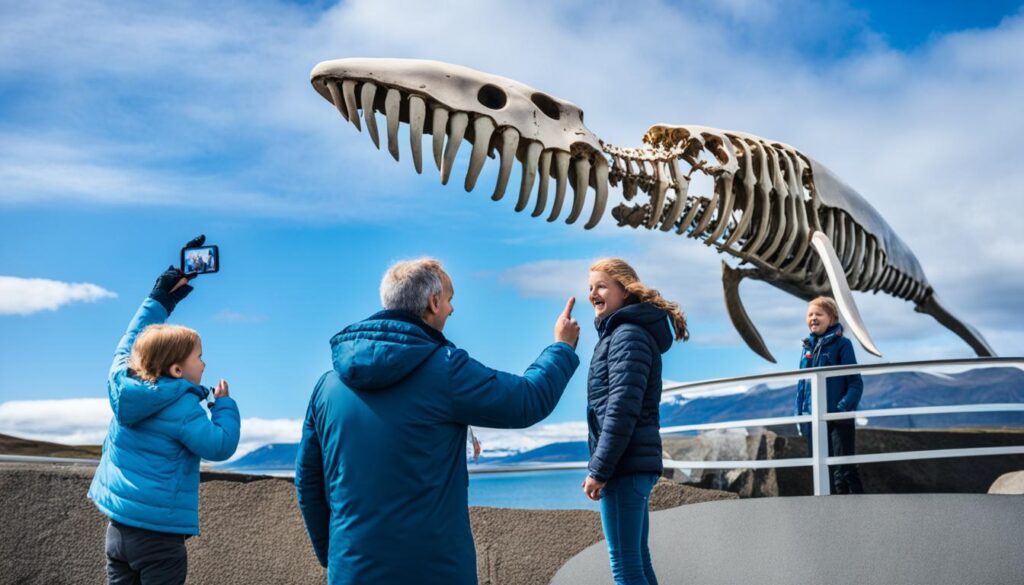 Husavik Whale Museum visit