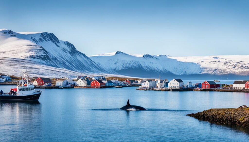 Husavik Whale Watching