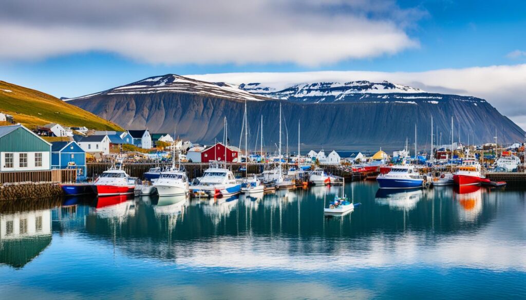 Husavik excursions