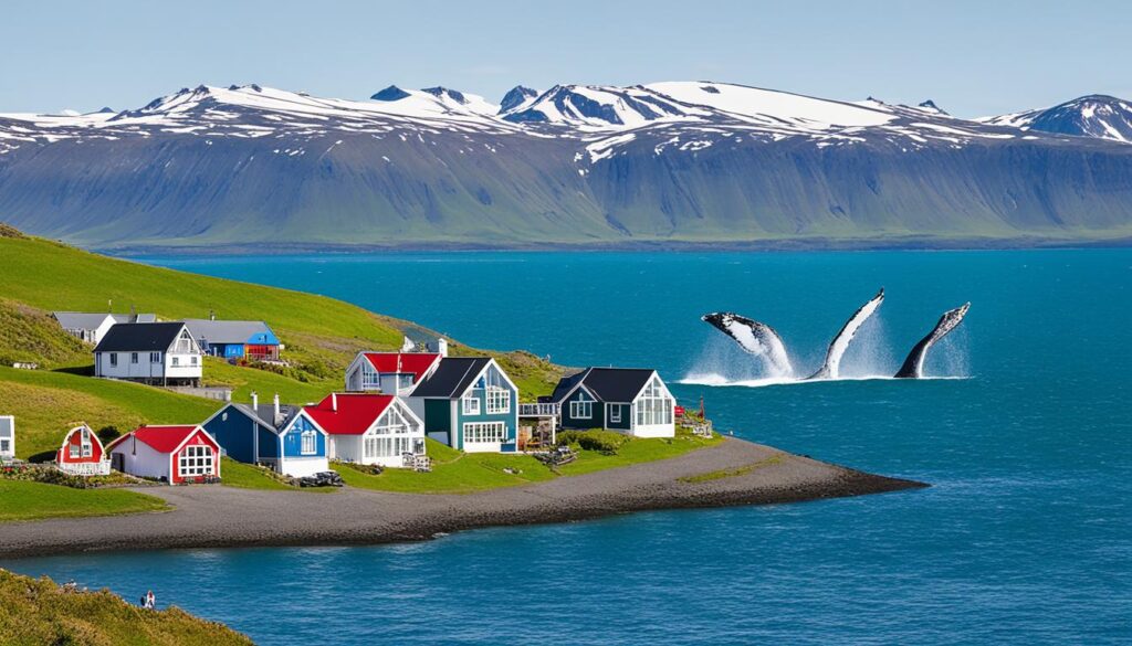 Husavik holiday rentals Husavik holiday rentals