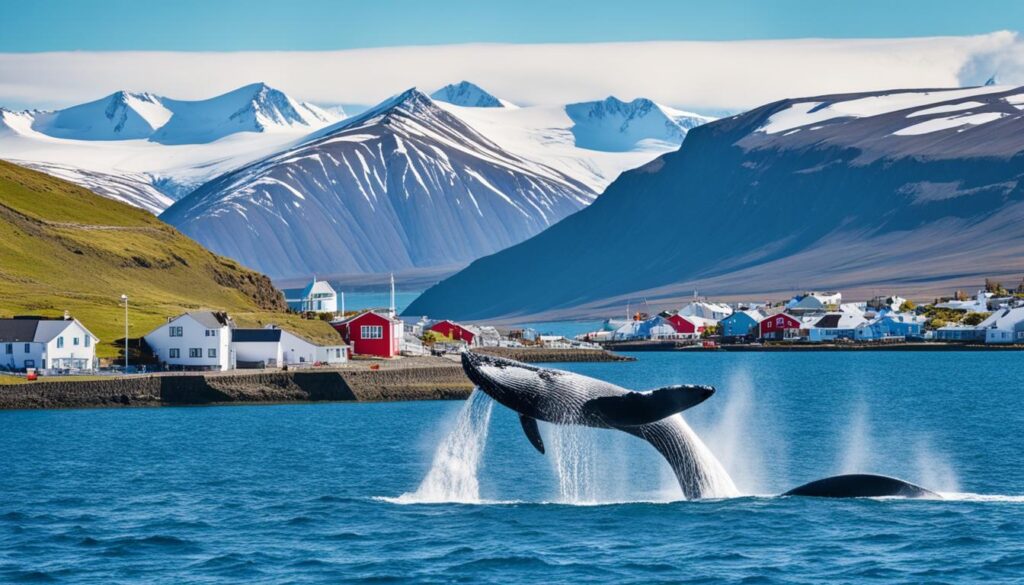 Husavik tourism