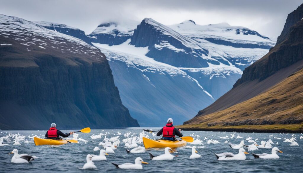 Ísafjörður Adventure