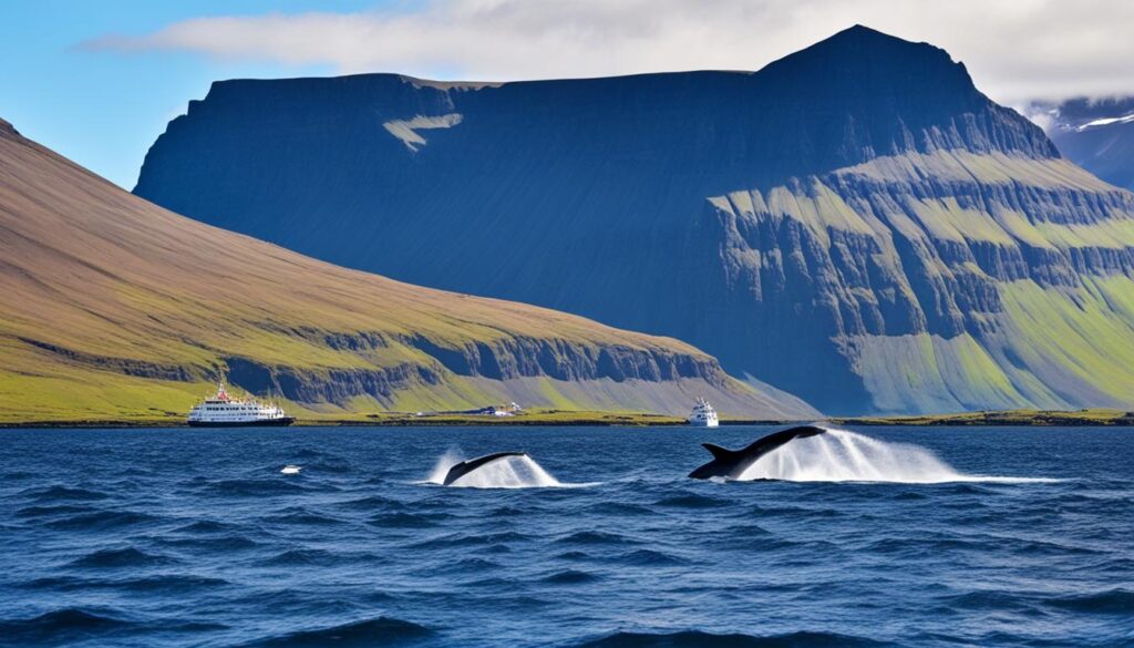 Ísafjörður boat tour Ísafjörður boat tour