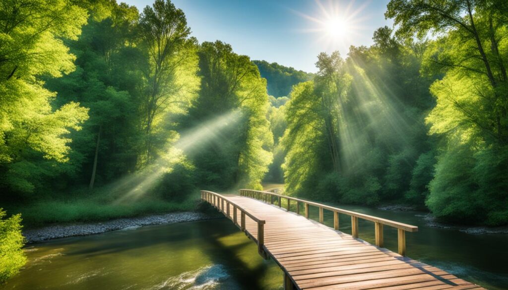 Nashville's Natural Beauty Nashville's Natural Beauty