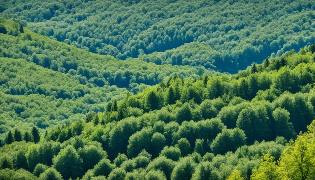 Prilep wildlife viewing Prilep wildlife viewing