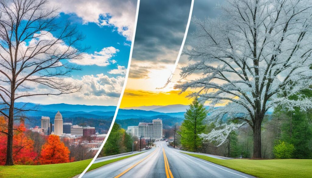 Raleigh vs Asheville weather Raleigh vs Asheville weather