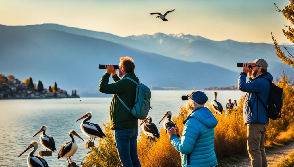 Struga birdwatching Struga birdwatching