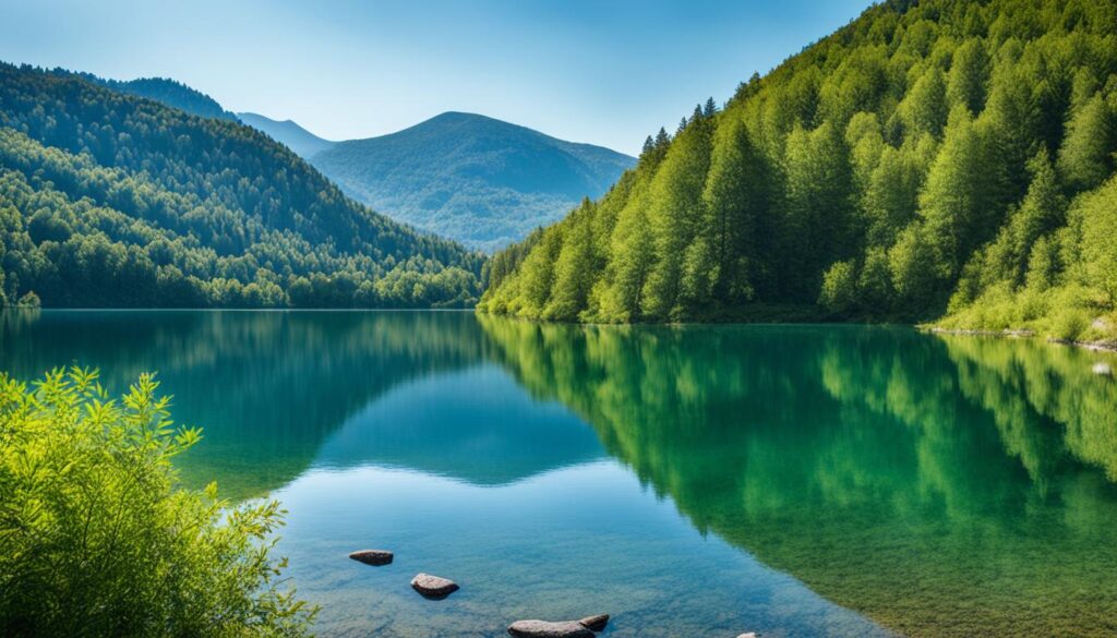 Tranquility in the Lovćen National Park Tranquility in the Lovćen National Park
