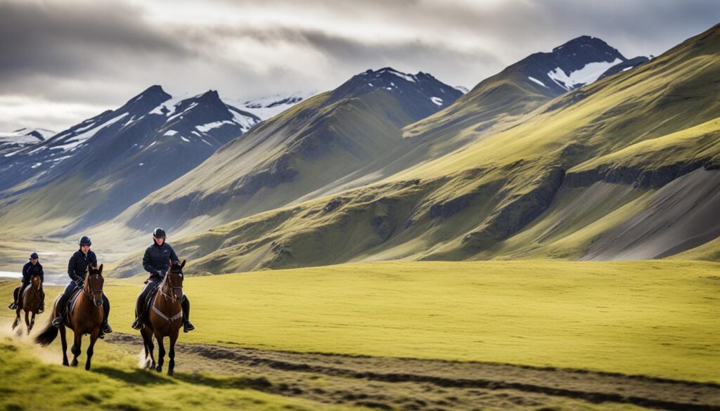 Vik horse riding excursions Vik horse riding excursions