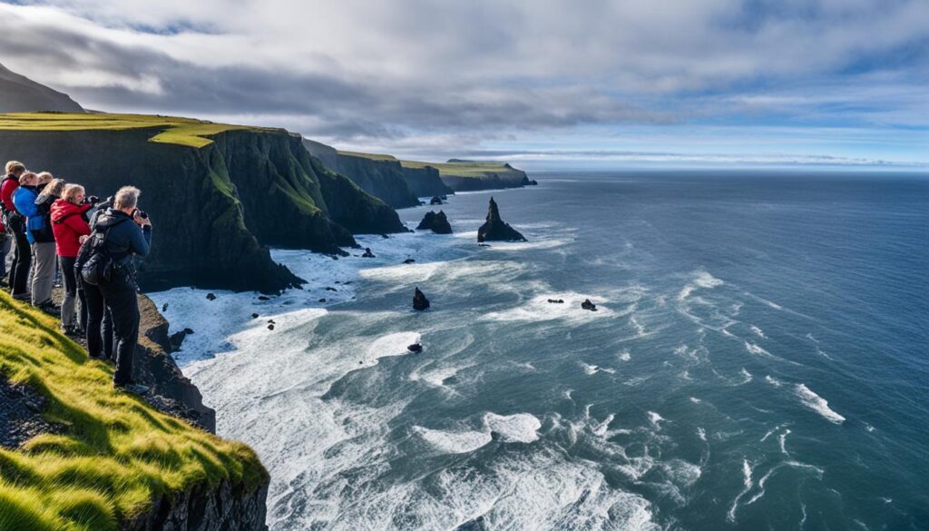 Vik wildlife tours Vik wildlife tours