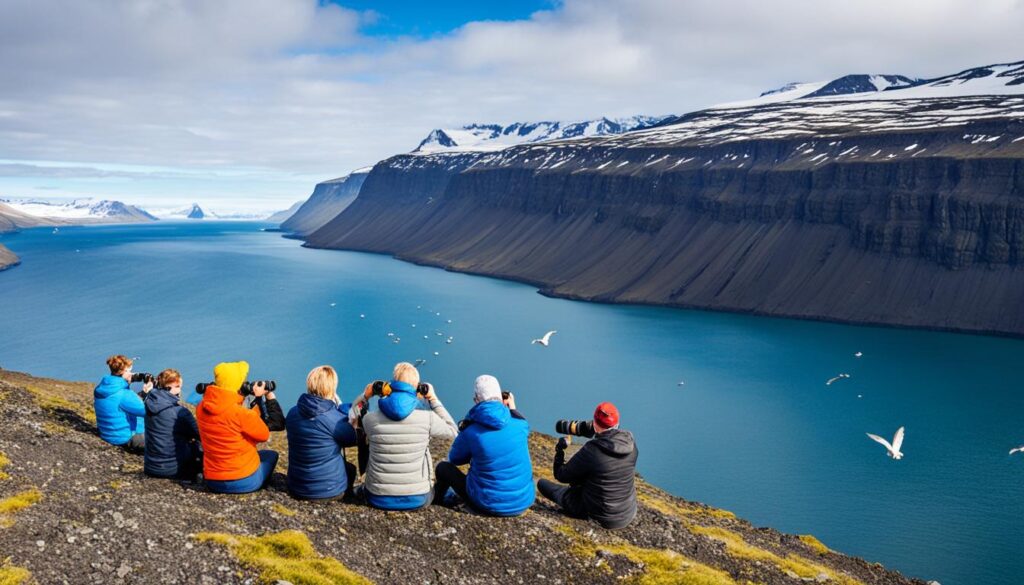 best birdwatching spots in Ísafjörður best birdwatching spots in Ísafjörður