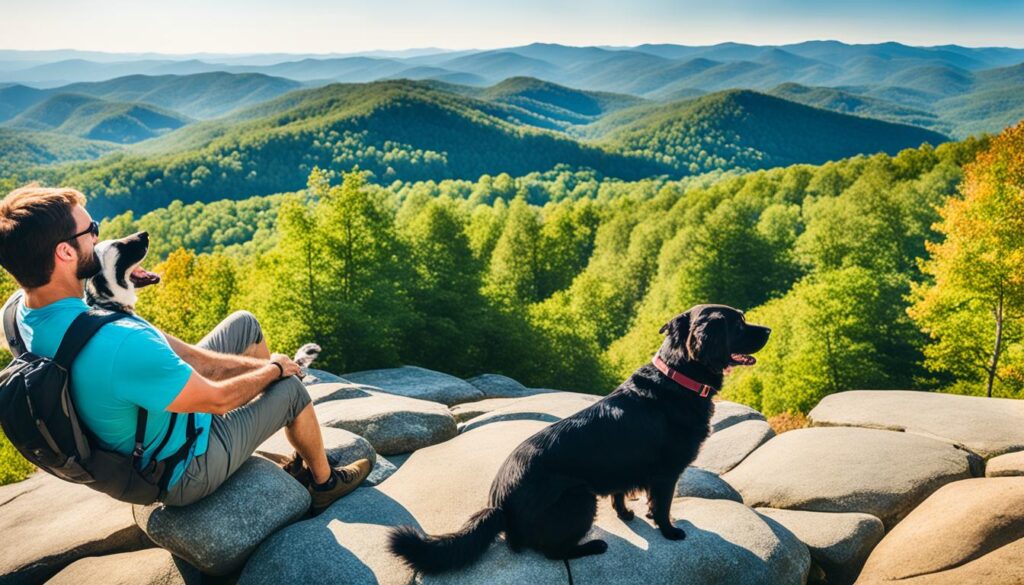 best dog-friendly hikes and restaurants near Asheville