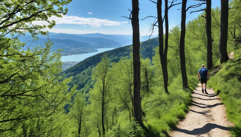best hikes Vodno Mountain best hikes Vodno Mountain