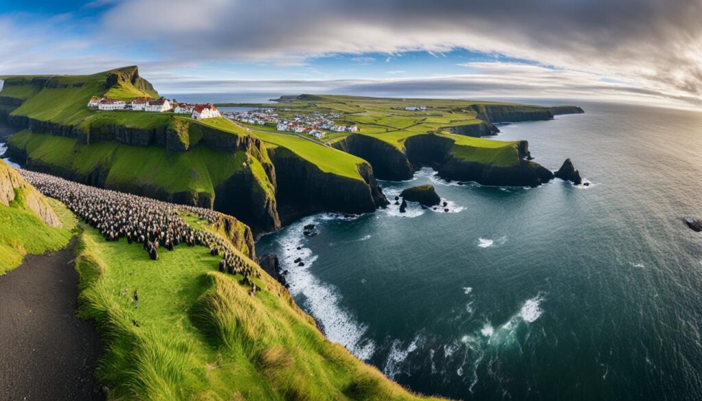 best places to see puffins in Vik best places to see puffins in Vik