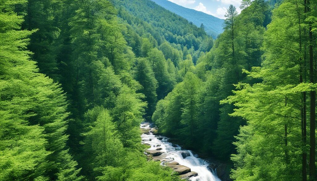 best things to do in Gatlinburg best things to do in Gatlinburg