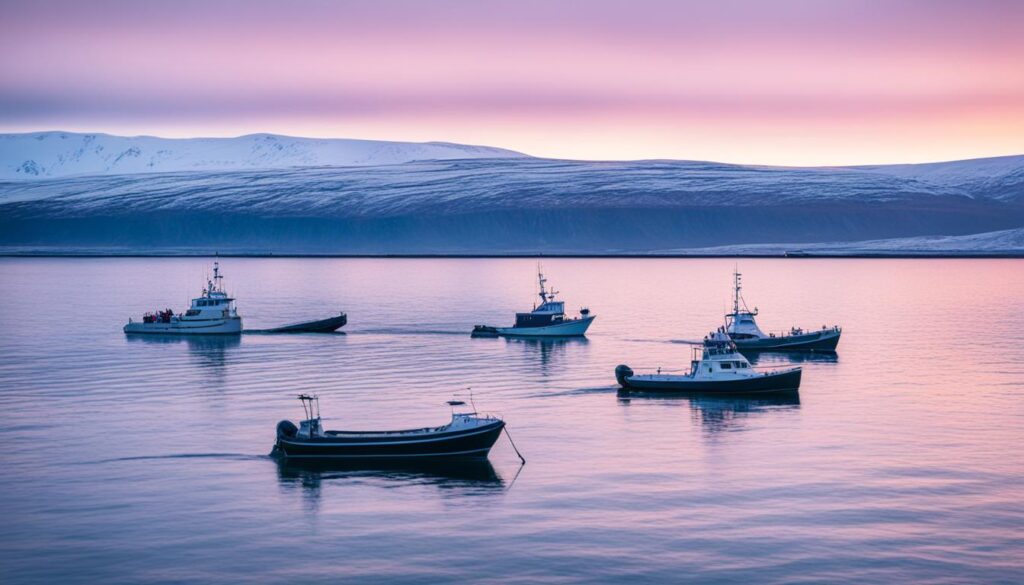 best time for whale watching in Husavik