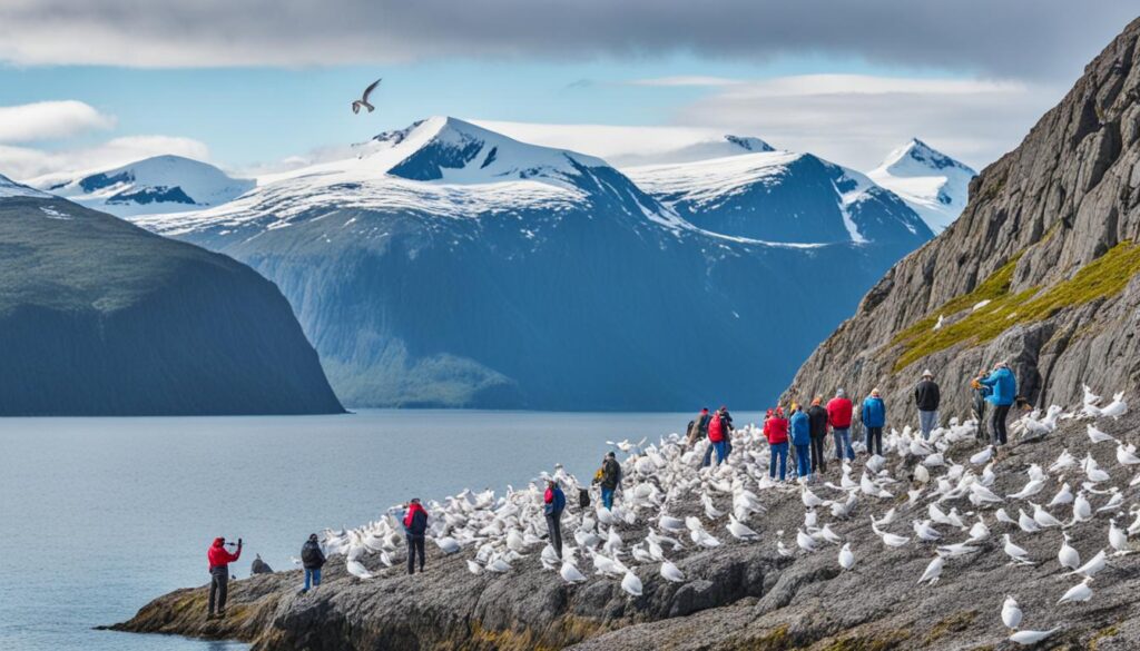 birdwatching expeditions in Ísafjörður birdwatching expeditions in Ísafjörður
