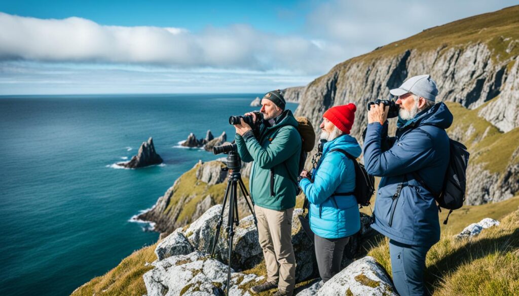 birdwatching in Vik birdwatching in Vik