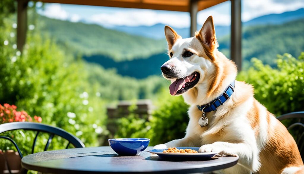 canine-friendly dining Asheville