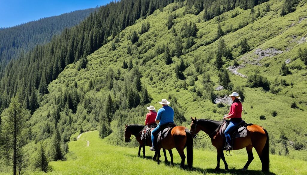 guided horseback tours guided horseback tours