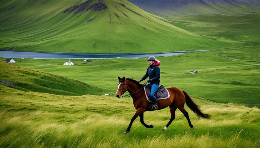 horse riding excursions horse riding excursions
